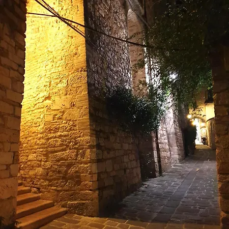 Meccoli